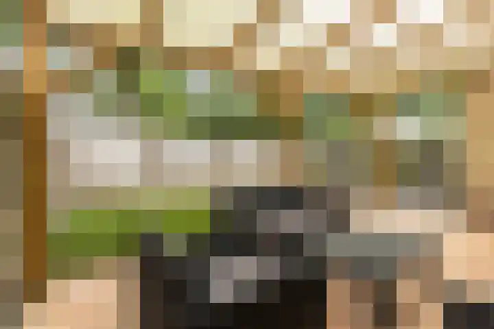 Cimbaalpad 2 Duiven thumbnail 28