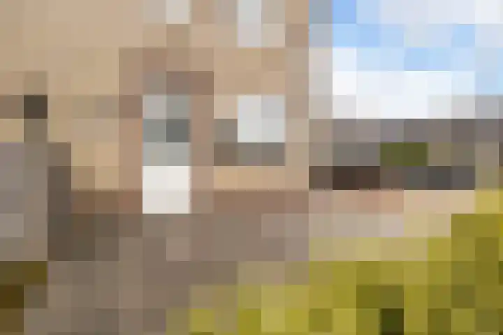 Cimbaalpad 2 Duiven thumbnail 31
