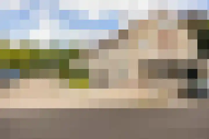 Cimbaalpad 2 Duiven thumbnail 32
