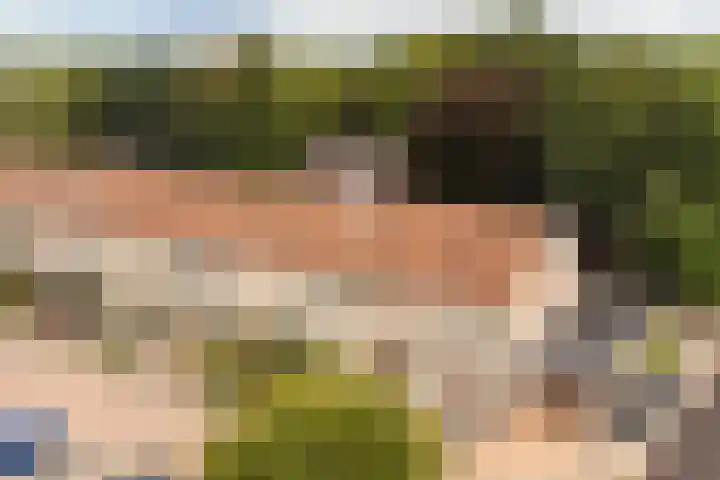 Cimbaalpad 2 Duiven thumbnail 33
