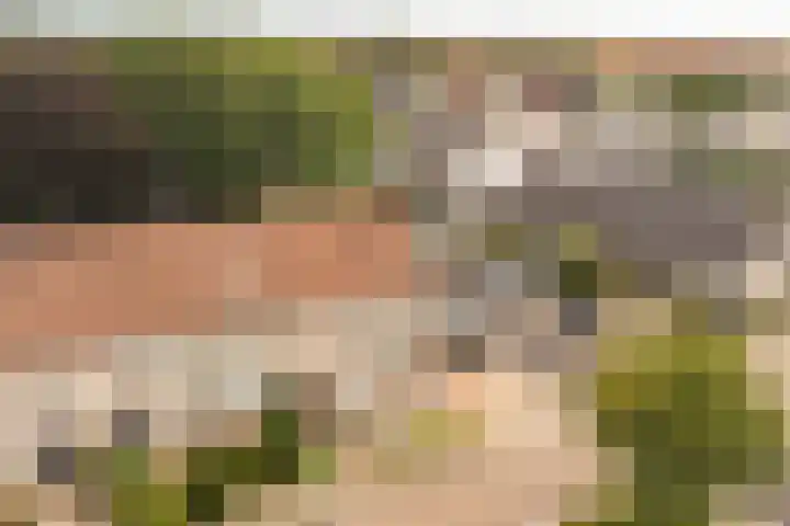 Cimbaalpad 2 Duiven thumbnail 34