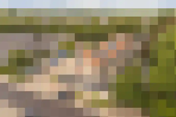 Cimbaalpad 2 Duiven thumbnail 35