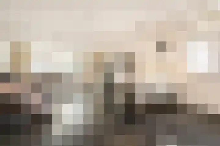 Cimbaalpad 2 Duiven thumbnail 4