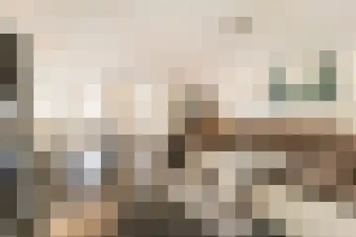 Cimbaalpad 2 Duiven thumbnail 7