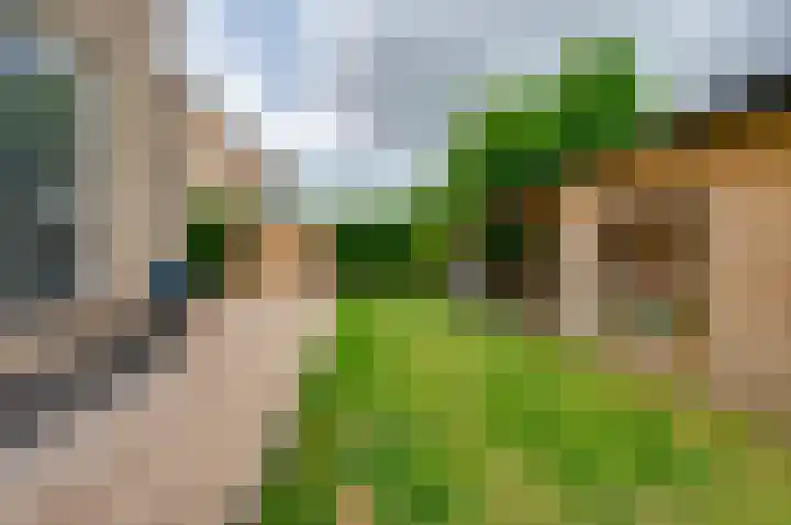 Cipreshout 14 Barendrecht thumbnail 21