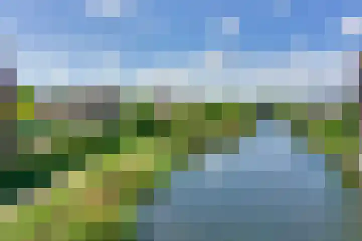 Cipreshout 14 Barendrecht thumbnail 49
