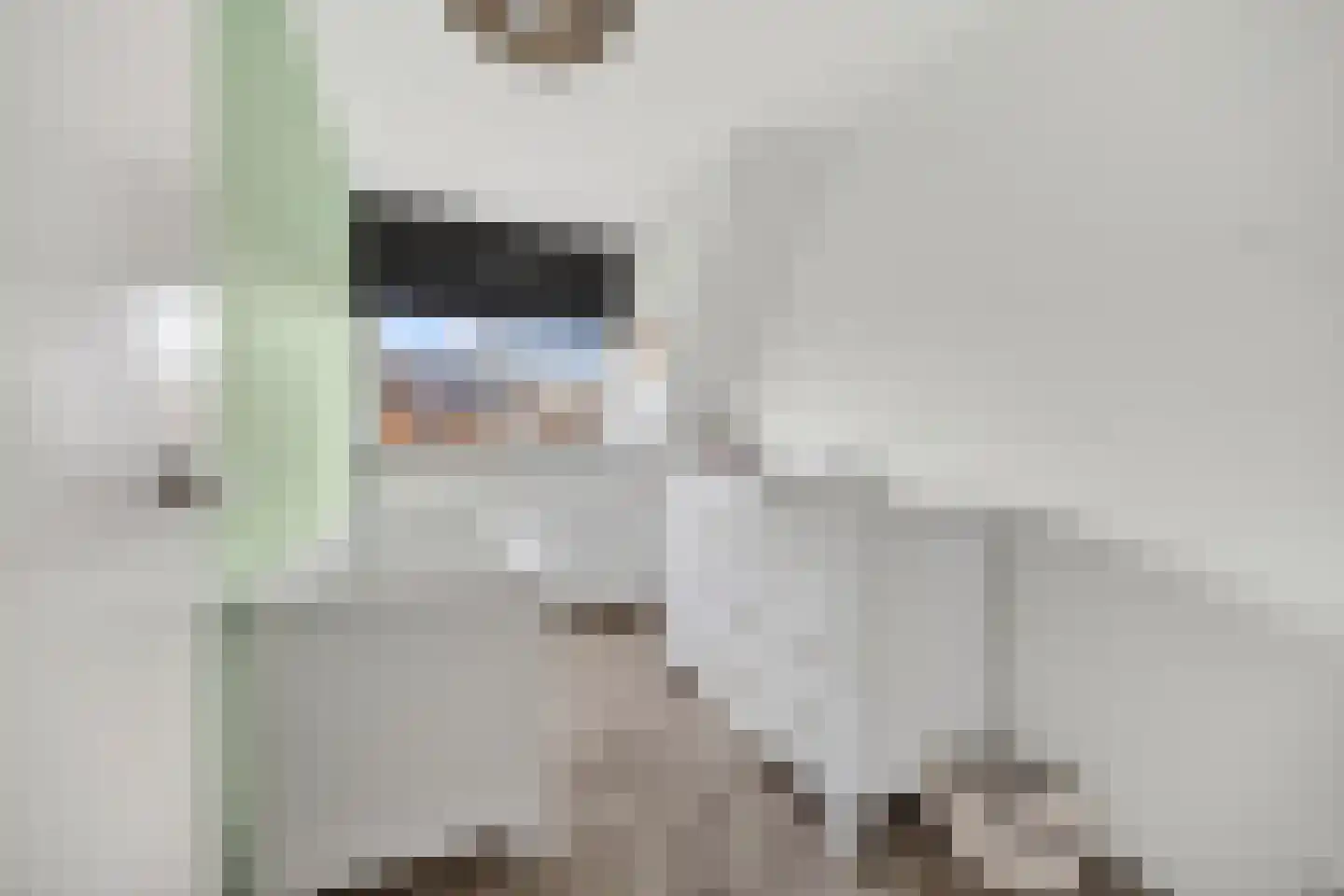 Citer 11 Ewijk thumbnail 22