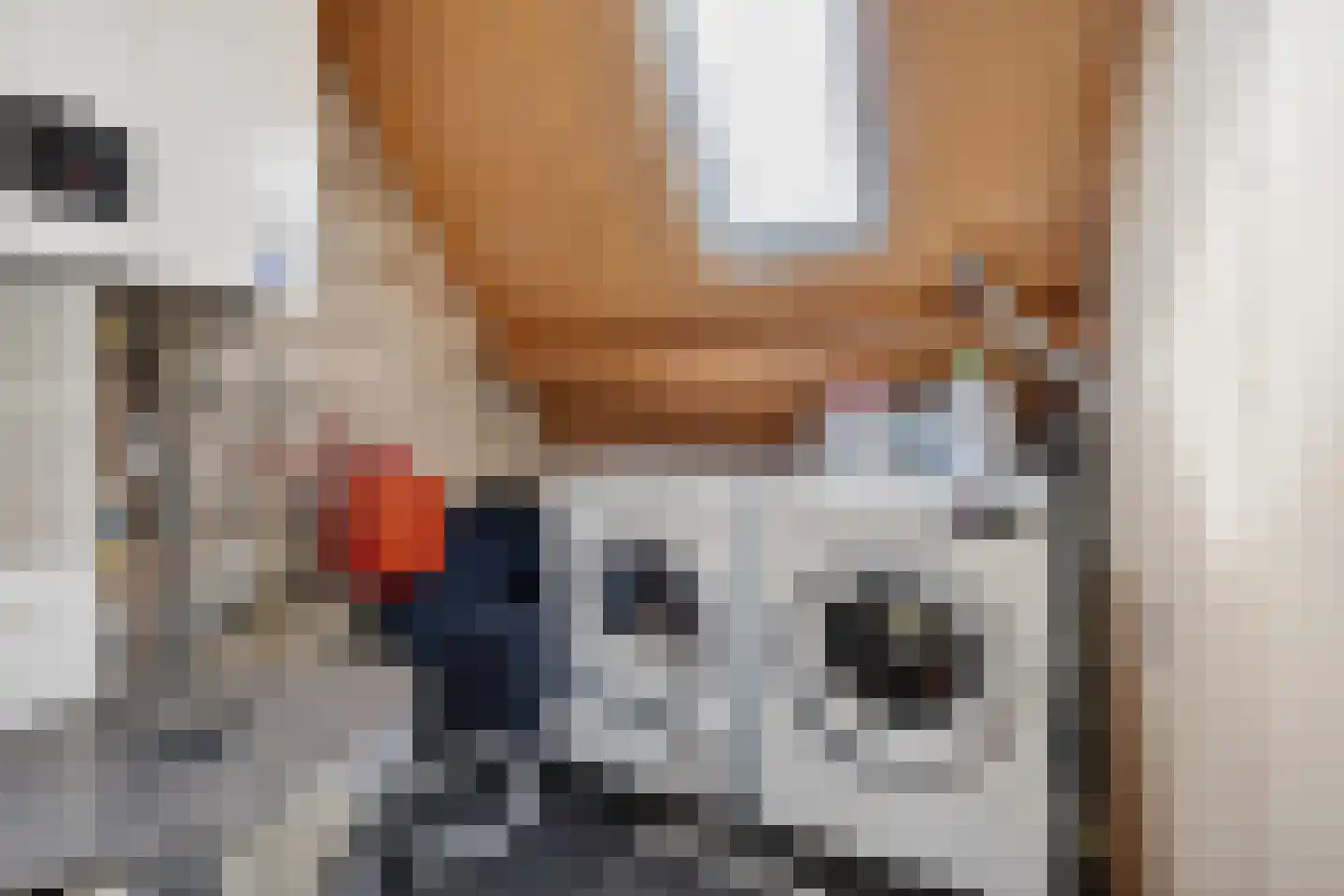 Citer 11 Ewijk thumbnail 30