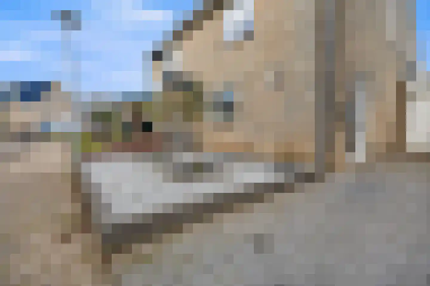 Citer 11 Ewijk thumbnail 38