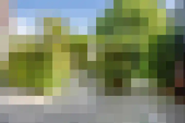 Citius 11 Hoofddorp thumbnail 11