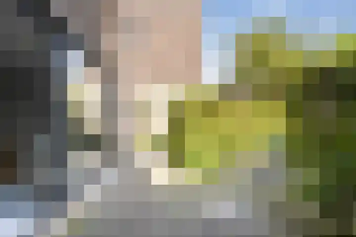 Citius 11 Hoofddorp thumbnail 12