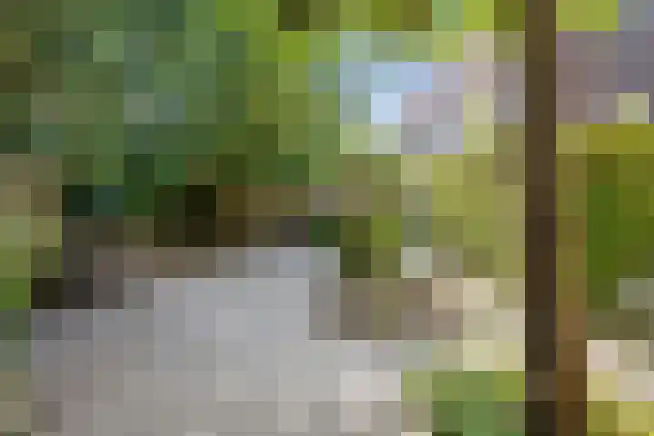 Citius 11 Hoofddorp thumbnail 16