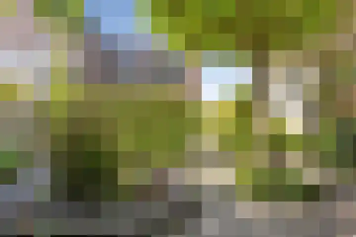 Citius 11 Hoofddorp thumbnail 18