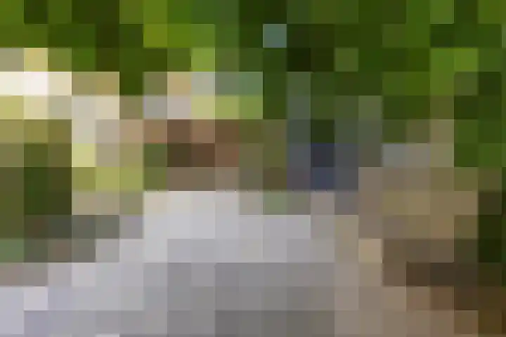 Citius 11 Hoofddorp thumbnail 19
