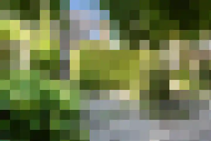 Citius 11 Hoofddorp thumbnail 20