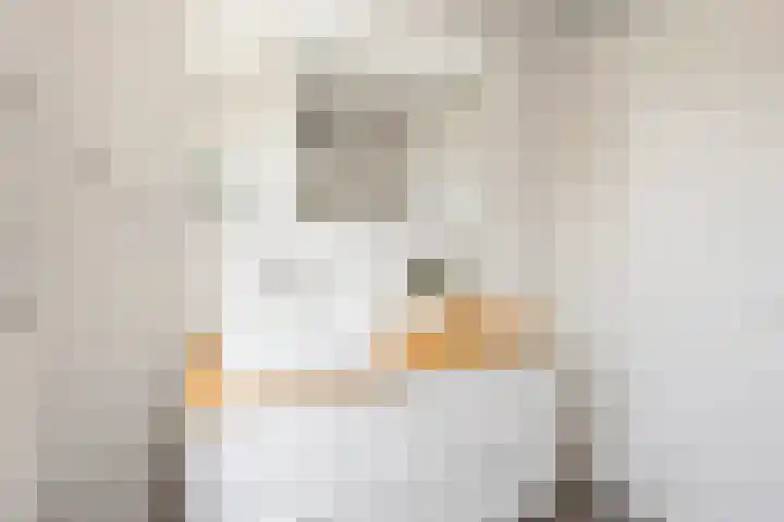 Citius 11 Hoofddorp thumbnail 31