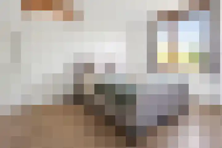 Citius 11 Hoofddorp thumbnail 33