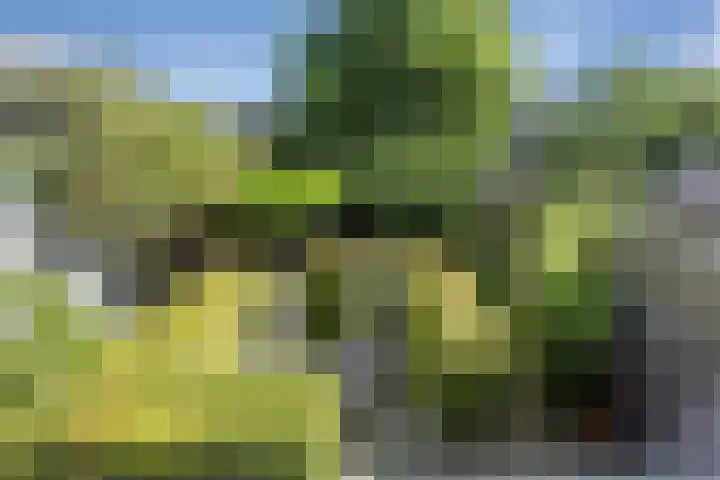 Citius 11 Hoofddorp thumbnail 36