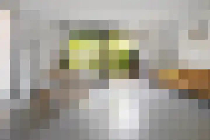 Citius 11 Hoofddorp thumbnail 4
