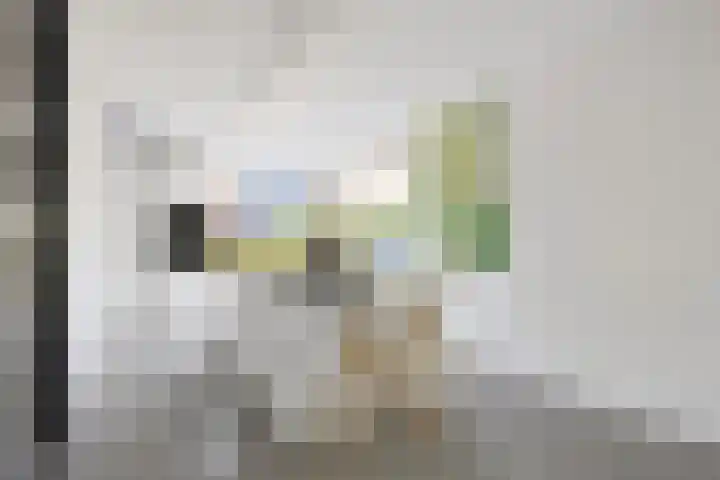 Citius 11 Hoofddorp thumbnail 5