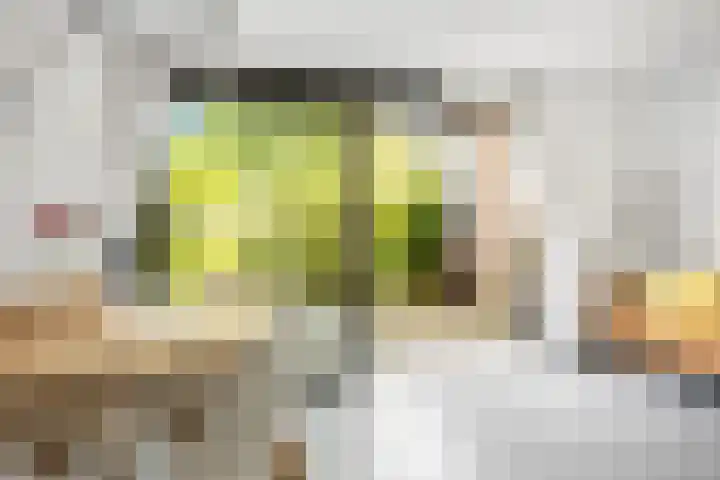 Citius 11 Hoofddorp thumbnail 7