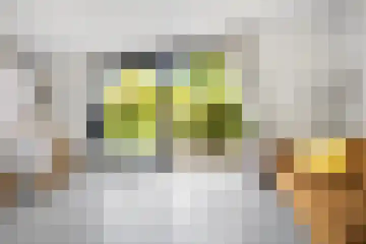 Citius 11 Hoofddorp thumbnail 8