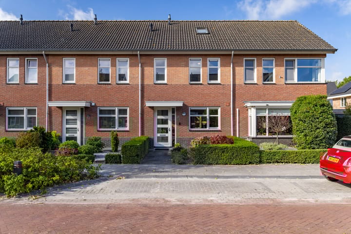 Citroenvlinder 22 in Holten foto