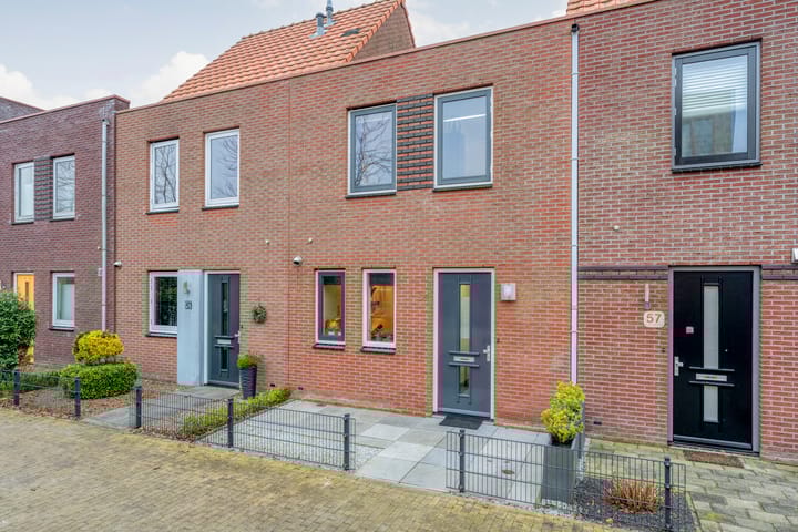 Citroenvlinder 55 in Hoogeveen foto