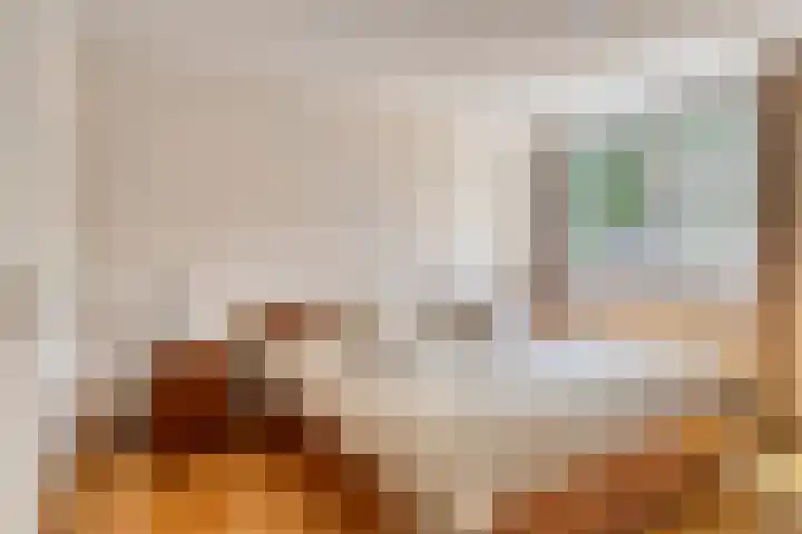 Clarastraat 22 Echt thumbnail 13