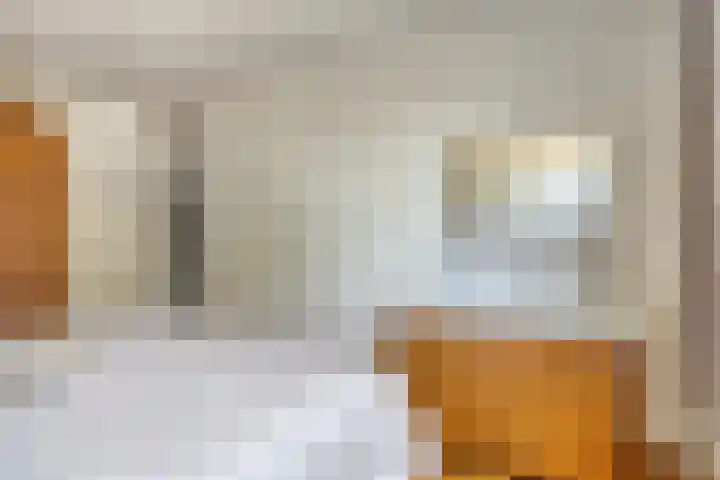 Clarastraat 22 Echt thumbnail 16