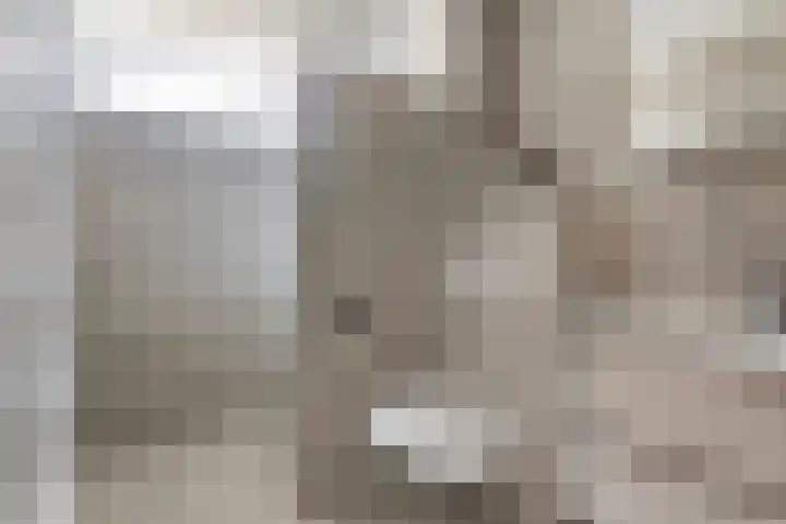 Clarastraat 22 Echt thumbnail 18