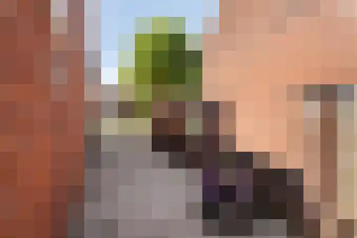 Clarastraat 22 Echt thumbnail 22