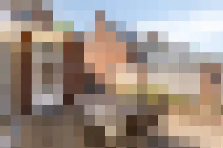 Clarastraat 22 Echt thumbnail 23