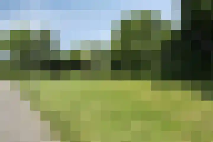 Clarastraat 22 Echt thumbnail 31