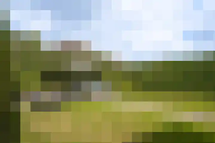 Clarevelt 48 Wamel thumbnail 39
