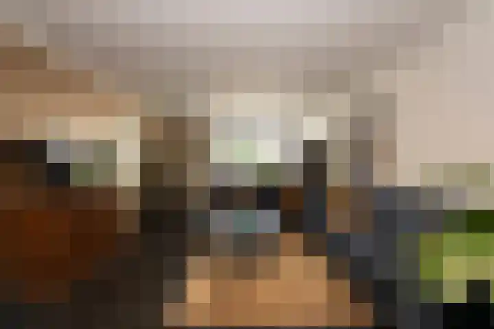 Clasinadreef 32 Tilburg thumbnail 13