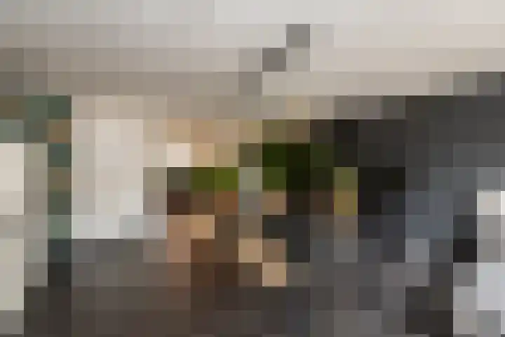 Clasinadreef 32 Tilburg thumbnail 17