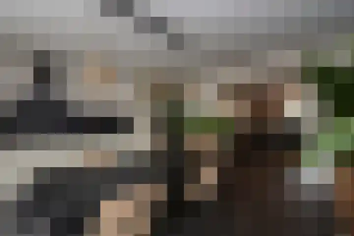 Clasinadreef 32 Tilburg thumbnail 18