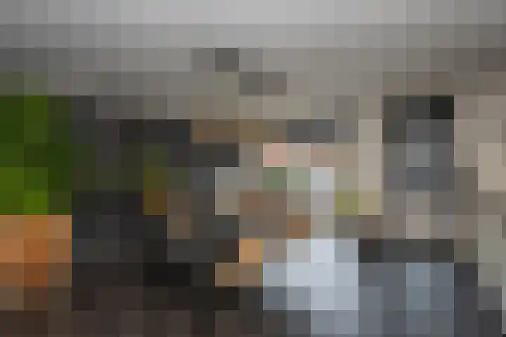 Clasinadreef 32 Tilburg thumbnail 21