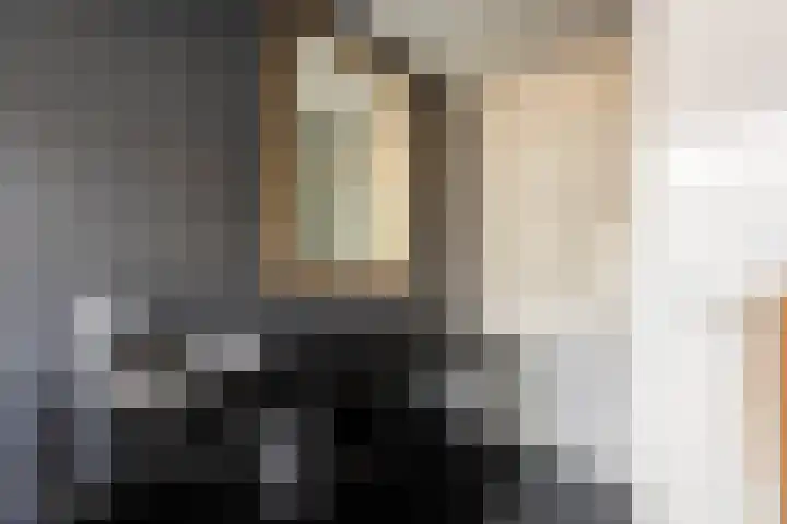 Clasinadreef 32 Tilburg thumbnail 30