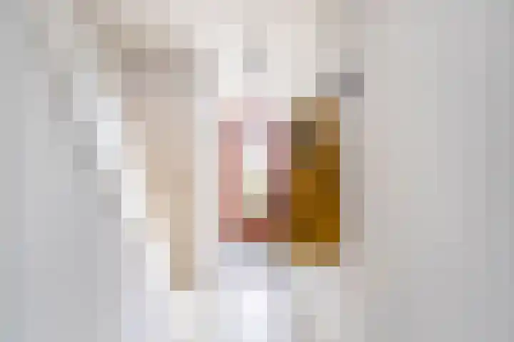 Claudiusdreef 13 Valkenburg thumbnail 16