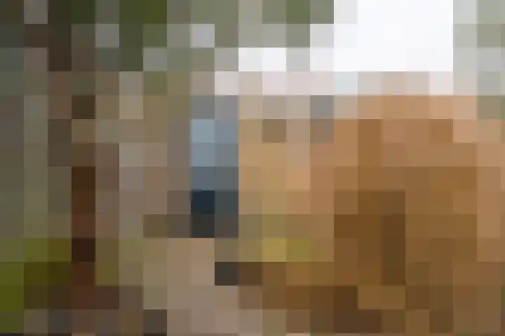 Claudiusdreef 13 Valkenburg thumbnail 32
