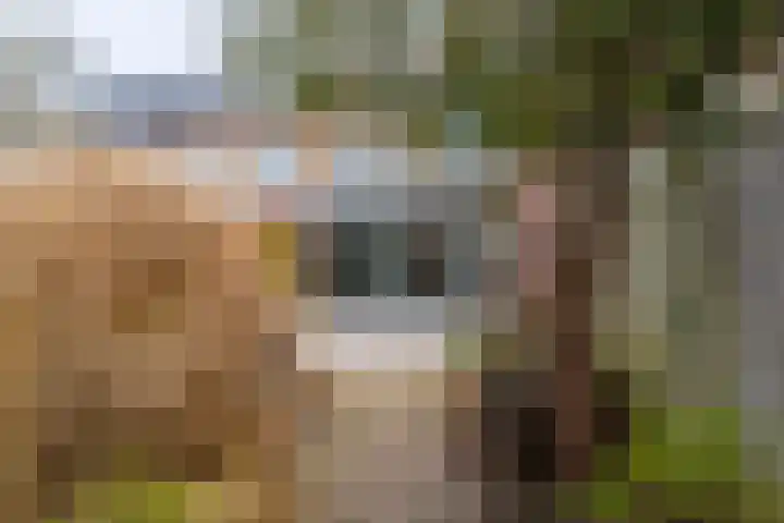 Claudiusdreef 13 Valkenburg thumbnail 33