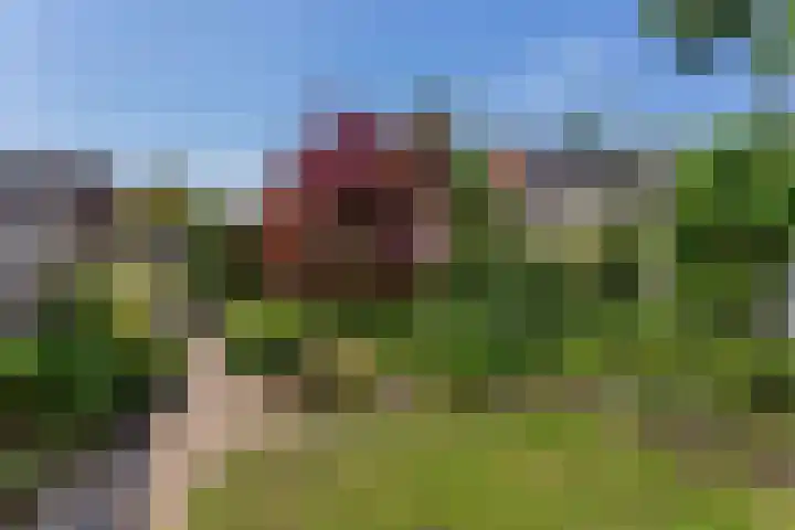 Claudiuslaan 101 De Meern thumbnail 8