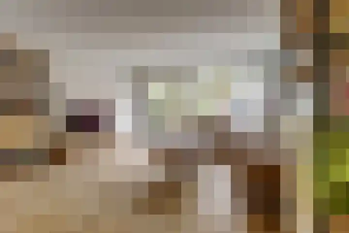 Claudiuslaan 23 De Meern thumbnail 14