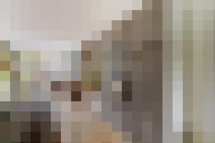 Claudiuslaan 23 De Meern thumbnail 19