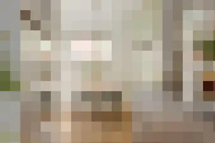 Claudiuslaan 23 De Meern thumbnail 23