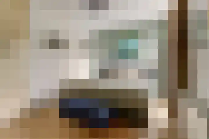Claudiuslaan 23 De Meern thumbnail 29