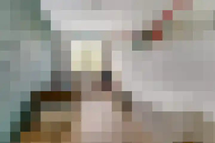 Claudiuslaan 23 De Meern thumbnail 37