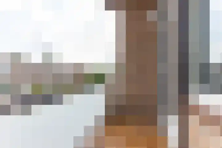 Clausstraat 20 Landgraaf thumbnail 34